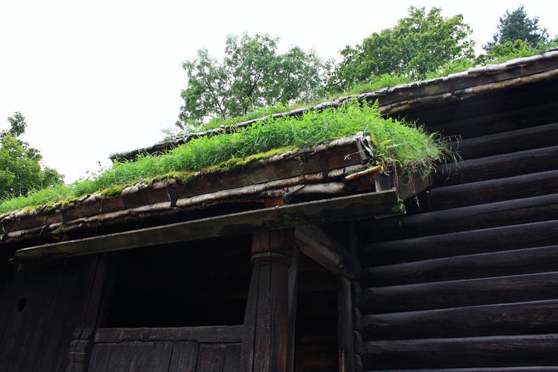 409-Oslo,26 agosto 2011.JPG